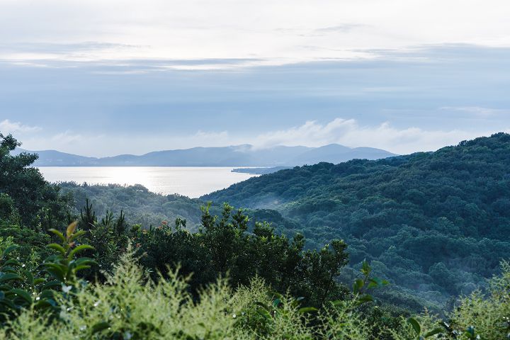 山林項目.jpg